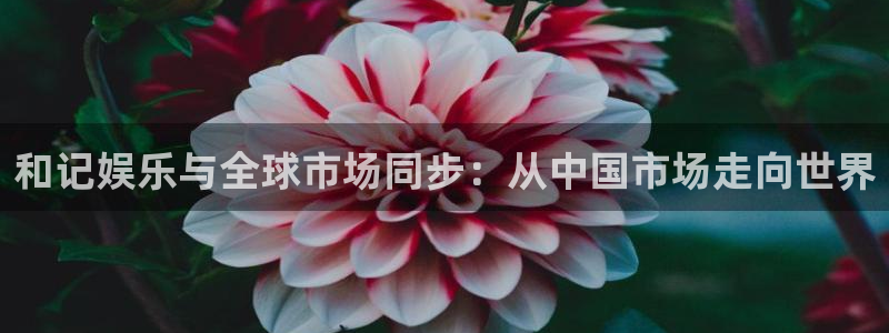 盛煌平台电子娱乐官网下载