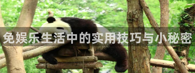 盛煌平台app入口