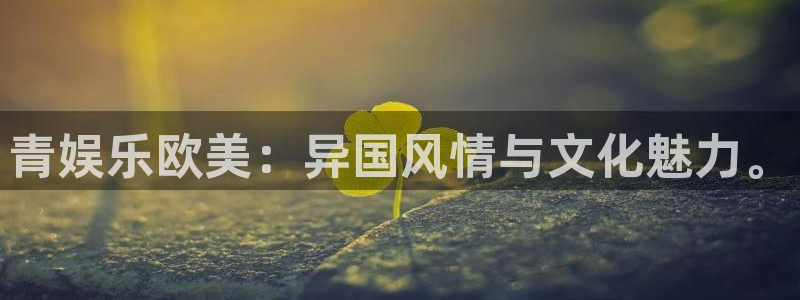 盛煌平台app下载安装最新版
