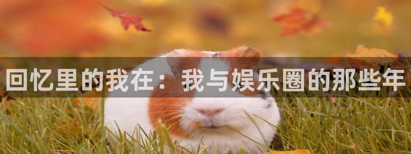 盛煌平台下载链接