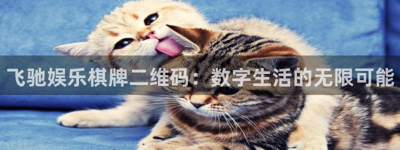 盛煌平台app最新版