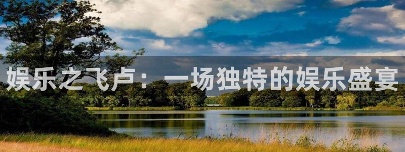 盛煌平台,apk.