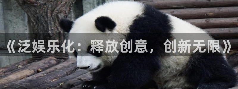 盛煌平台是啥