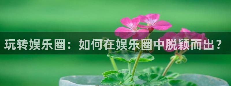 盛煌平台注册入口与教程