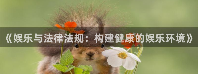 盛煌平台是正规平台吗