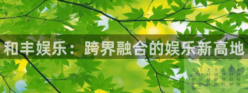 盛煌平台平台