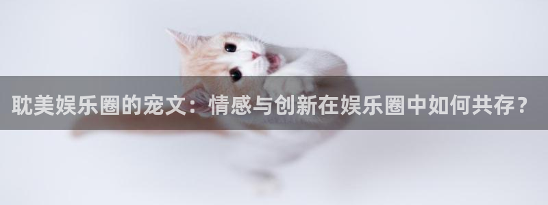 壹号app官方登录入口下载