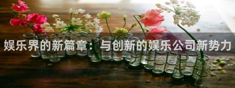 盛煌平台能退款吗
