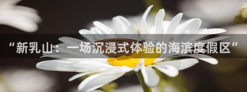 盛煌平台游戏官网入口