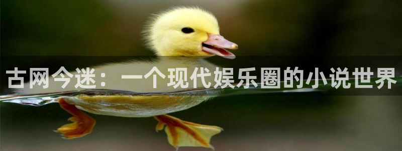 壹号top娱乐