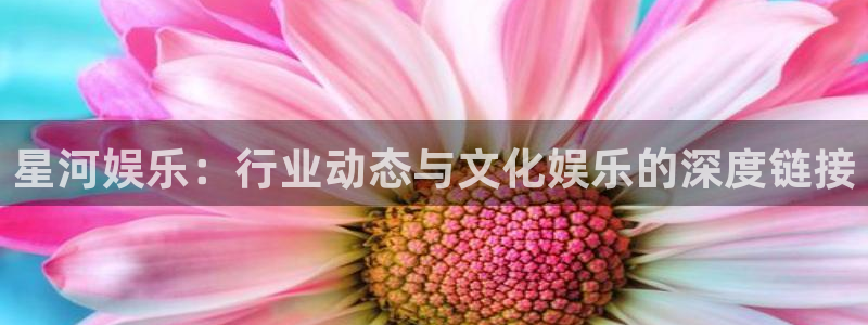壹号app下载苹果：星河娱乐：行业动态与文化娱乐的深度链接