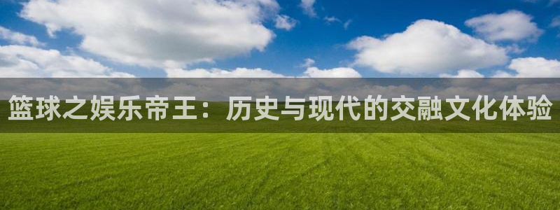 壹号官方app下载安装：篮球之娱乐帝王：历史与现代的交融文化体验