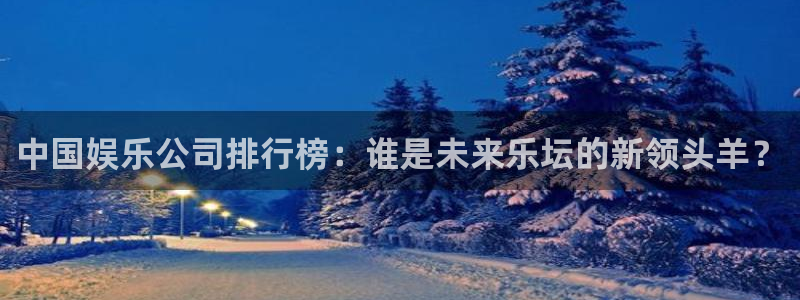 盛煌平台app官网下载苹果：中国娱乐公司排行榜：谁是未来乐坛的新领头羊？