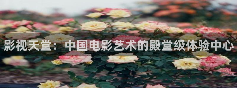 盛煌平台ccmpc：影视天堂：中国电影艺术的殿堂级体验中心