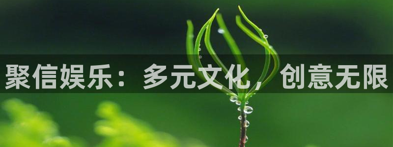 盛煌平台充值怎么退款：聚信娱乐：多元文化，创意无限