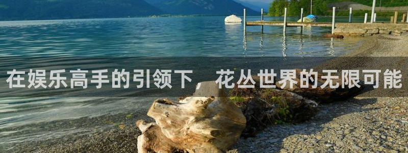 盛煌平台加拿大下载：在娱乐高手的引领下，花丛世界的无限可能