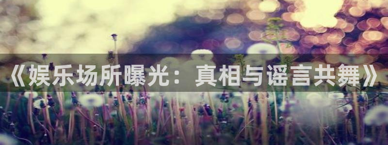 盛煌平台下载链接：《娱乐场所曝光：真相与谣言共舞》