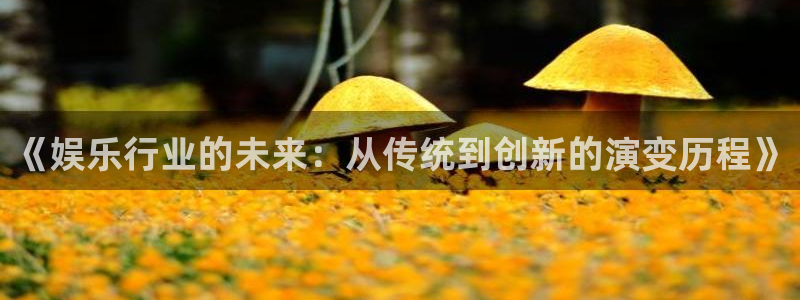 盛煌平台平台app下载安装：《娱乐行业的未来：从传统到创新的演变历程》