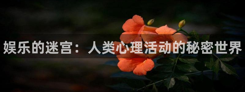 盛煌平台平台官网入口：娱乐的迷宫：人类心理活动的秘密世界