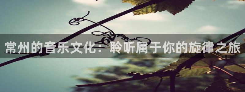 盛煌平台在线下载：常州的音乐文化：聆听属于你的旋律之旅