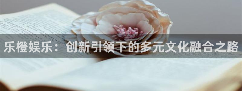 盛煌平台怎么下载