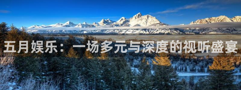 盛煌平台.ccm官网版