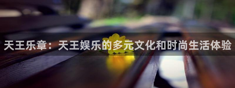 壹号下载安装
