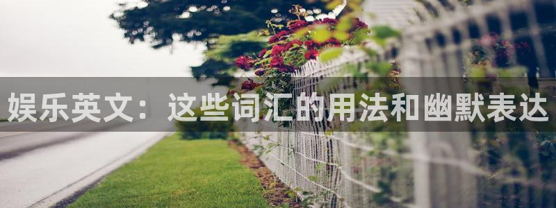 盛煌平台放水时间